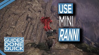 Where To Use Miniature Ranni In Elden Ring [upl. by Ynor]