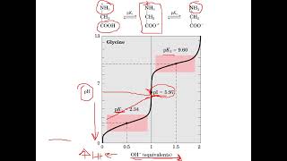 Aminoácidos amp Peptídeos  Relação entre pH pI e carga da molécula [upl. by Buller]