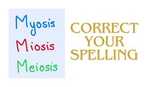 Myosis Miosis Meiosis Mnemonic to learn these spellings Difference between myosis and miosis [upl. by Saul]