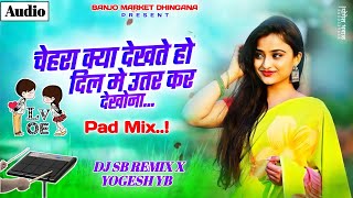 Chehra Kya Dekhte Ho  Pad Sambal Mix  चेहरा क्या देखते हो  DJ SB REMIX YOGESH YB [upl. by Naejeillib]