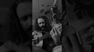 Dunkelheit  Burzum  Acoustic cover by Leiv Reed [upl. by Murdocca]