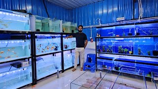 Biggest Wholesale Fish Shop In Pune  Tropical Aquatics [upl. by Kilah302]