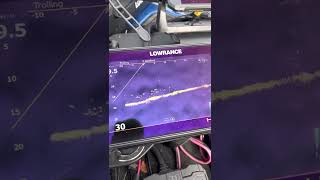 Lowrance Active Target forward view [upl. by Nims]