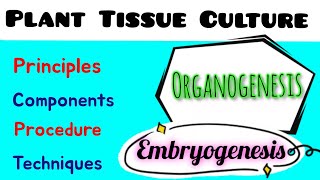 Plant Tissue Culture  Principle components  techniques  Embryogenesis  Organogenesis [upl. by Etana879]