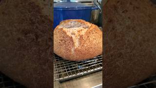 Homemade Jewish Rye Bread Picklejuice is the Key [upl. by Gujral]