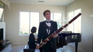 Vivaldi Bassoon Concerto in E Minor RV 484 Movement 1 [upl. by Loy]