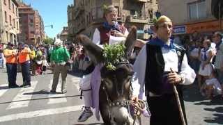 Cabalgata fiestas de Barbastro 2013 [upl. by James]