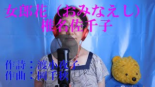 女郎花（おみなえし）椎名佐千子 cover by マーコ [upl. by Atinehs]