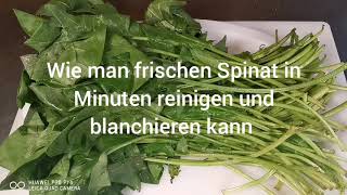 Reinigen und blanchieren von frischen Spinat einfach amp schnell in wenigen Minuten grün amp gesund [upl. by Esela977]