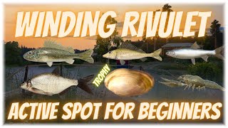 Russian Fishing 4 Winding Rivulet Active Spots For Beginners [upl. by Grosz384]