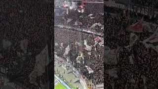 Nordwestkurve Eintracht Frankfurt vs Werder Bremen 23112024 [upl. by Norven948]