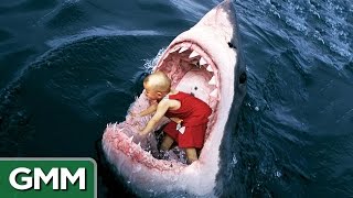 6 Strangest Things Swallowed by a Shark [upl. by Tdnaltroc]