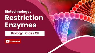 Restriction Enzymes  Biotechnology  Principles and Processes  Biology  Class 12 [upl. by Eded]