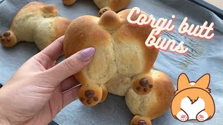 Corgi butt shaped soft buns by Cookingwithamyy [upl. by Avra788]