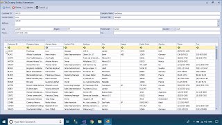 C Tutorial  Insert Update Delete Filter data in DataGridView  FoxLearn [upl. by Sayed]