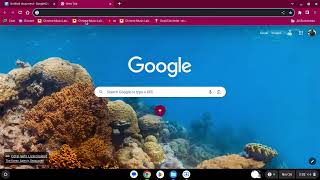 How to Unblock WebSites on School Chromebook 20232024 [upl. by Natsuj660]