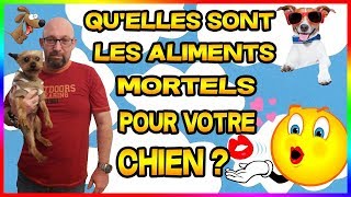 10 Aliments Mortels Pour Votre Chien [upl. by Selig330]