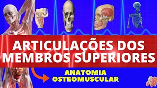 ARTICULAÇÕES DOS MEMBROS SUPERIORES  ARTICULAÇÃO DO OMBRO E COTOVELO  ANATOMIA HUMANA [upl. by Gorlicki92]