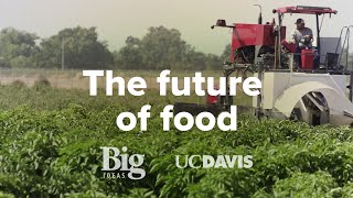 Sustainable Agriculture  UC Davis Big Ideas Smart Farm [upl. by Annoel]