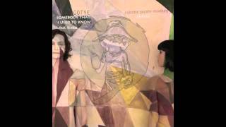 Gotye  Somebody That I Used To Know ft Kimbra Robotic Pirate Monkey Remix [upl. by Yrdnal583]