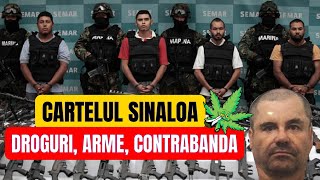 Cartelul SINALOA  Trafic De Droguri Arme si Contrabanda by Petre Negreanu [upl. by Saffian]