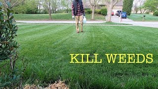 How to spray weeds in the lawn [upl. by Ardeha]