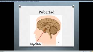 Caracteres primarios y secundarios Pubertad [upl. by Marjory815]