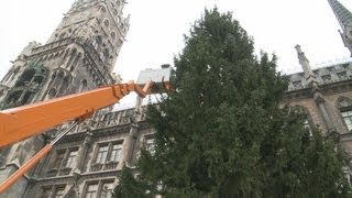 München Der Christbaum ist da [upl. by Naloc]