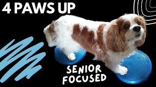 AtHome Physical Therapy for Dogs Back Legs and Strength  Senior Cavalier Physiotherapy Exercises [upl. by Valerian]