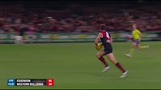 Essendon Highlights  Rd 7 2014 v Western Bulldogs [upl. by Savinirs708]