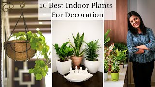 10 Best Indoor Plants For Decoration  Low Maintenance Air purifying Houseplants [upl. by Andris]