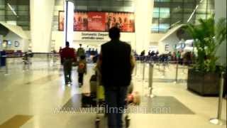 Domestic departures  Delhi Airport Terminal 3 [upl. by Asilahs]