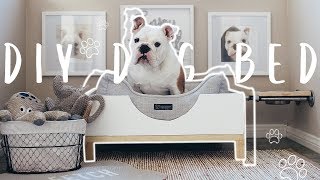 DIY Modern Dog Bed  Easy Build for Beginners [upl. by Airdnalahs]