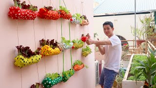 Clever Plastic Bottle Vertical Garden Ideas Gardening Ideas for home [upl. by Oiretule279]