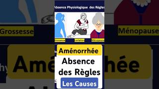 Causes Aménorrhée Absence des Règles amenorrhea amenorrhee grossesse allaitement menopause [upl. by Jermayne]