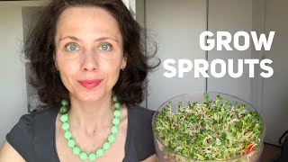 How to grow sprouts at home with Biosnacky [upl. by Miner]