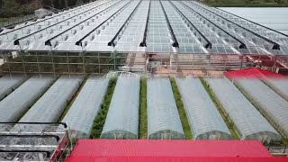 Chinas Advanced Innovative Farming At Another Level [upl. by Lorna650]