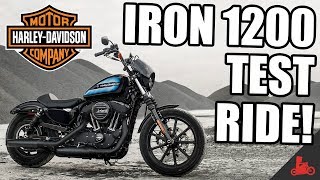 IRON 1200 Test Ride  2018 HarleyDavidson Sportster [upl. by Rutledge]