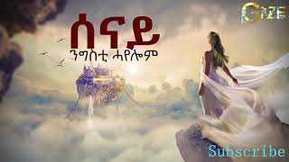 ንግስቲ ሓየሎም  ሰናይ  Nigisti Hayelom  Senay  Tigrigna Music [upl. by Yerot]