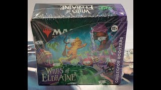 Magic The Gathering MTG Wilds of Eldraine Collector Booster Box Openingmagicthegathering mtg [upl. by Anne-Marie]