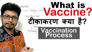 COVID 19 Vaccine Deep Dive Safety Immunity RNA Production Pfizer Vaccine  Moderna Vaccine [upl. by Eelan]