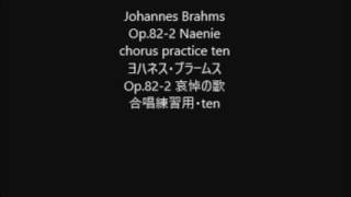 Johannes Brahms Op822 Naenie chorus practice ten [upl. by Arreis493]