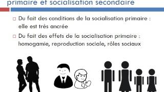 De la socialisation de lenfant à la socialisation de ladulte  continuité ou ruptures [upl. by Prober]