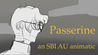 Everything Stays  Passerine SBI AU  Animatic [upl. by Kelam]