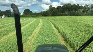 Soybean and Browntop Millet Hay being cut with a NH Discbine [upl. by Sirovaj]