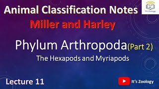 Phylum Arthropoda  Part 2  Hexapods  Myriapods  Animal Classification Notes  Lecture 11 [upl. by Shara115]