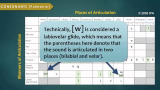 Introduction to the International Phonetic Alphabet [upl. by Zullo521]