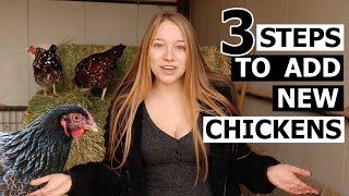 Watch This BEFORE Adding More Chickens  How To Introduce NEW CHICKENS To Your Flock [upl. by Annait]