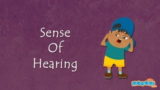 Sense of HearingHow the Body Works  Human Senses  Science for Kids  Educational Videos by Mocomi [upl. by Koval177]