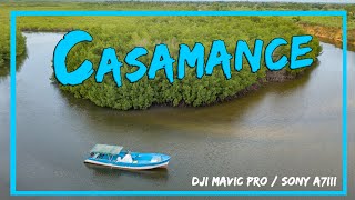 La Casamance poumon vert du Sénégal  Reportage  4K [upl. by Tollman]